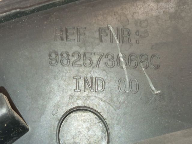 9825736680 Peugeot/Citroen 