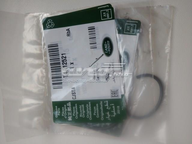 T4A12521 Jaguar 