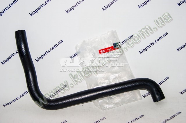 Przewód (króciec) chłodnicy górny do KIA Magentis II GE