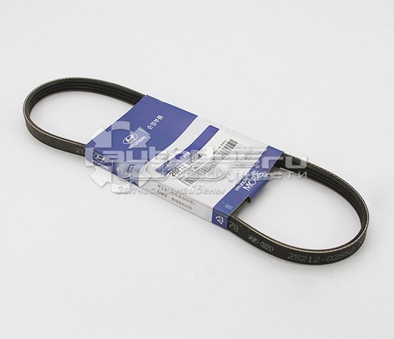 2521202552 Hyundai/Kia Pas napędowy mechanizmów