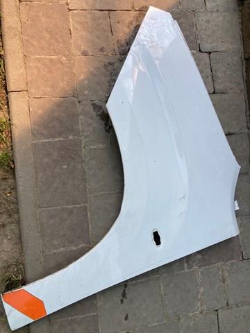 Błotnik przedni lewy Peugeot/Citroen 9816482780 cena, od 283,06 USD