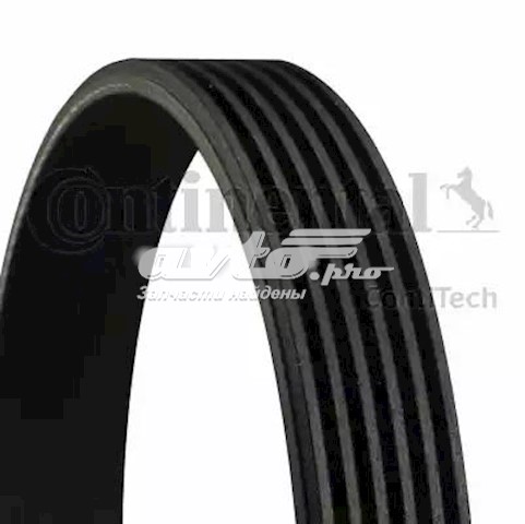 Pas napędowy mechanizmów Continental/Siemens 6PK2077 cena, od 25,65 USD