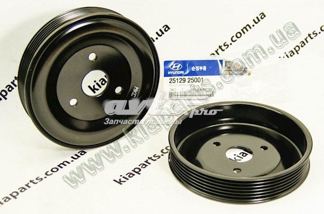  Koło pasowe pompy wodnej Hyundai Sonata 5