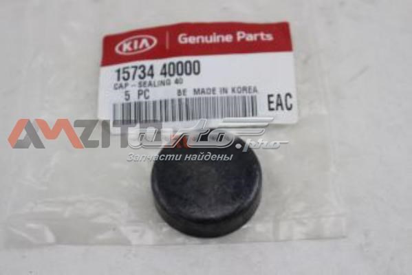 Zaślepka głowicy cylindrów/bloku cylindrów Hyundai/Kia 1573440000 cena, od 3,95 USD