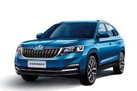 Skoda Kamiq (2019 - 2025)